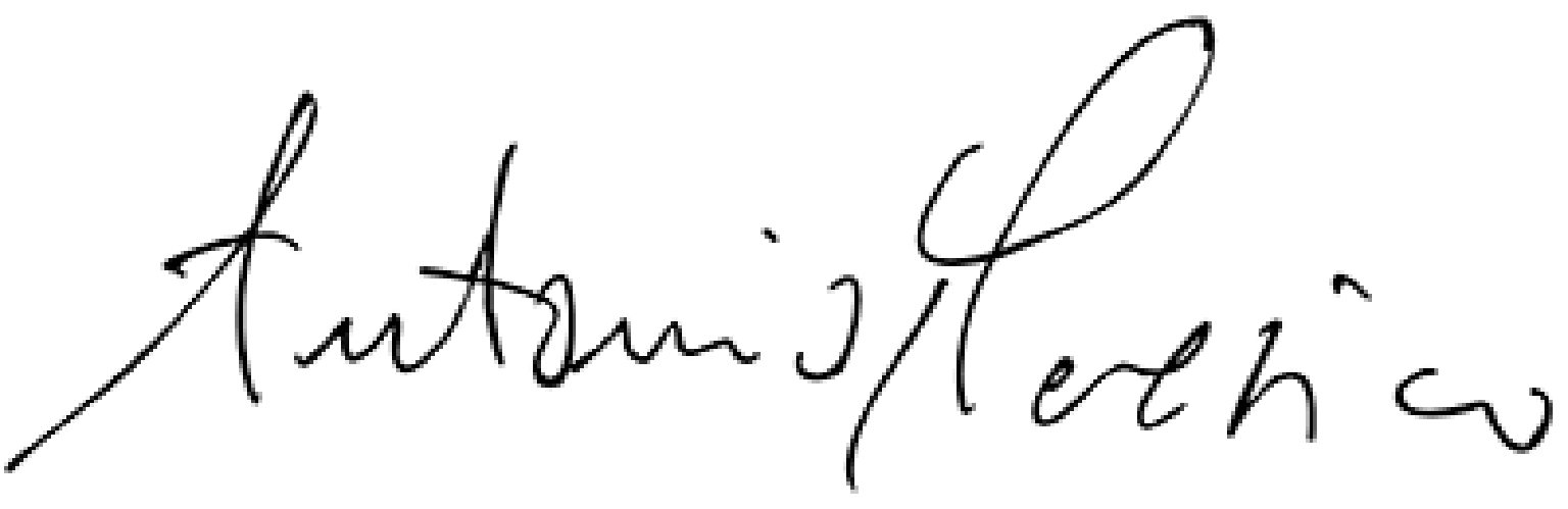 CEO signature